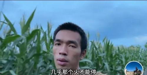 爆料徐云视频在线观看  第3张